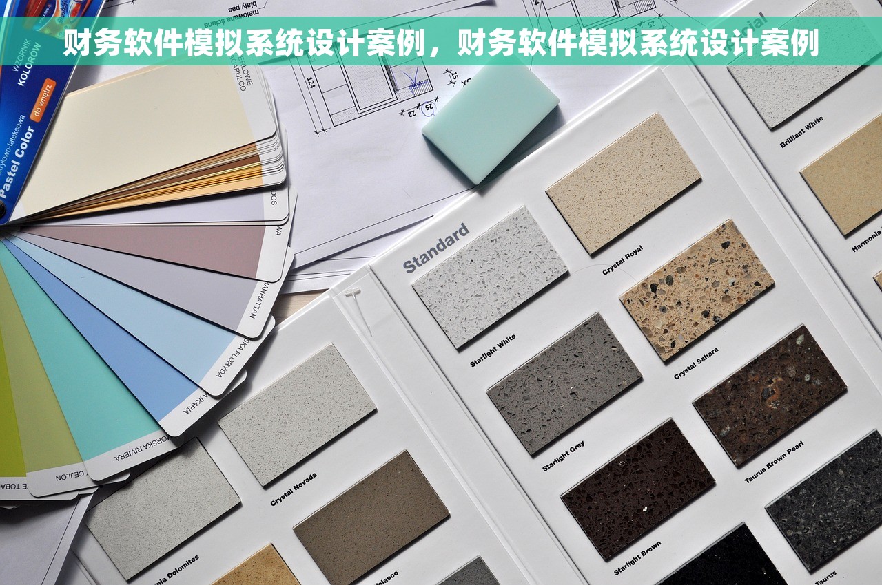 财务软件模拟系统设计案例，财务软件模拟系统设计案例