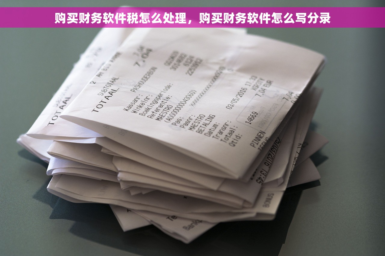 购买财务软件税怎么处理，购买财务软件怎么写分录
