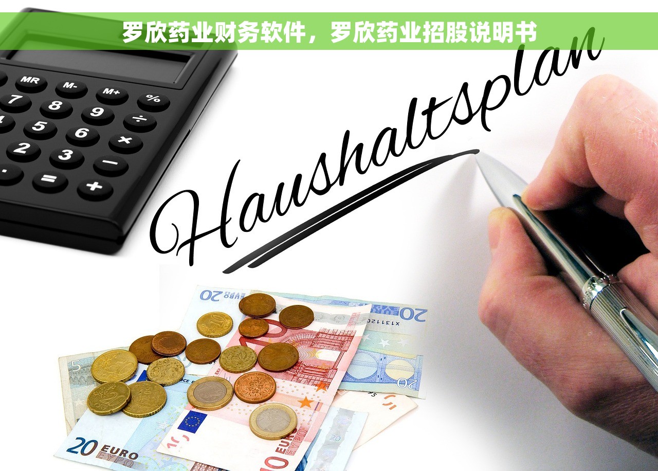 u8销售出库单分录操作指引及实例解析