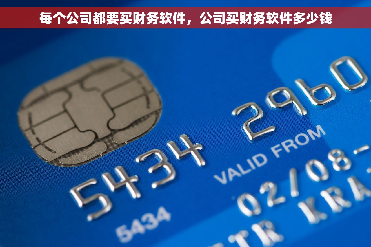 每个公司都要买财务软件，公司买财务软件多少钱