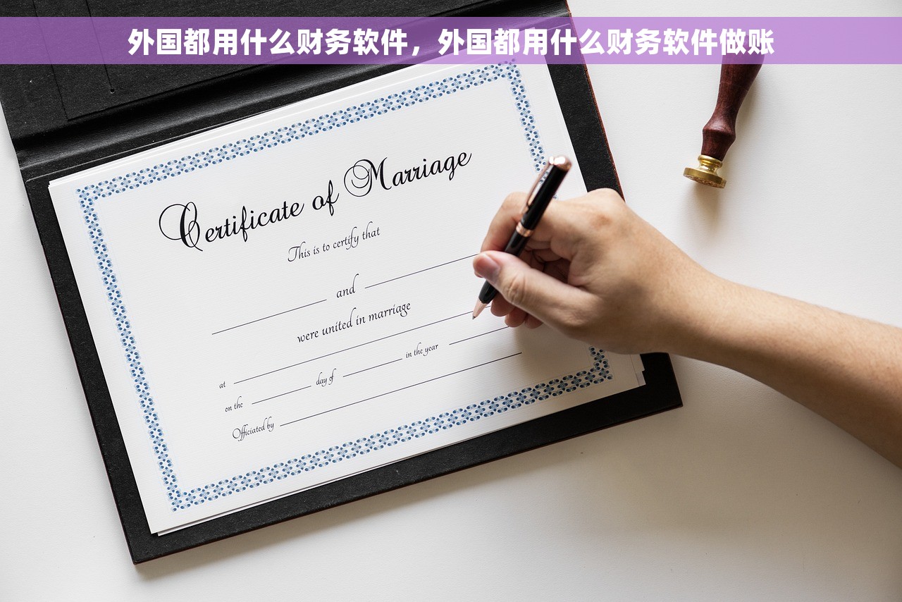 外国都用什么财务软件，外国都用什么财务软件做账