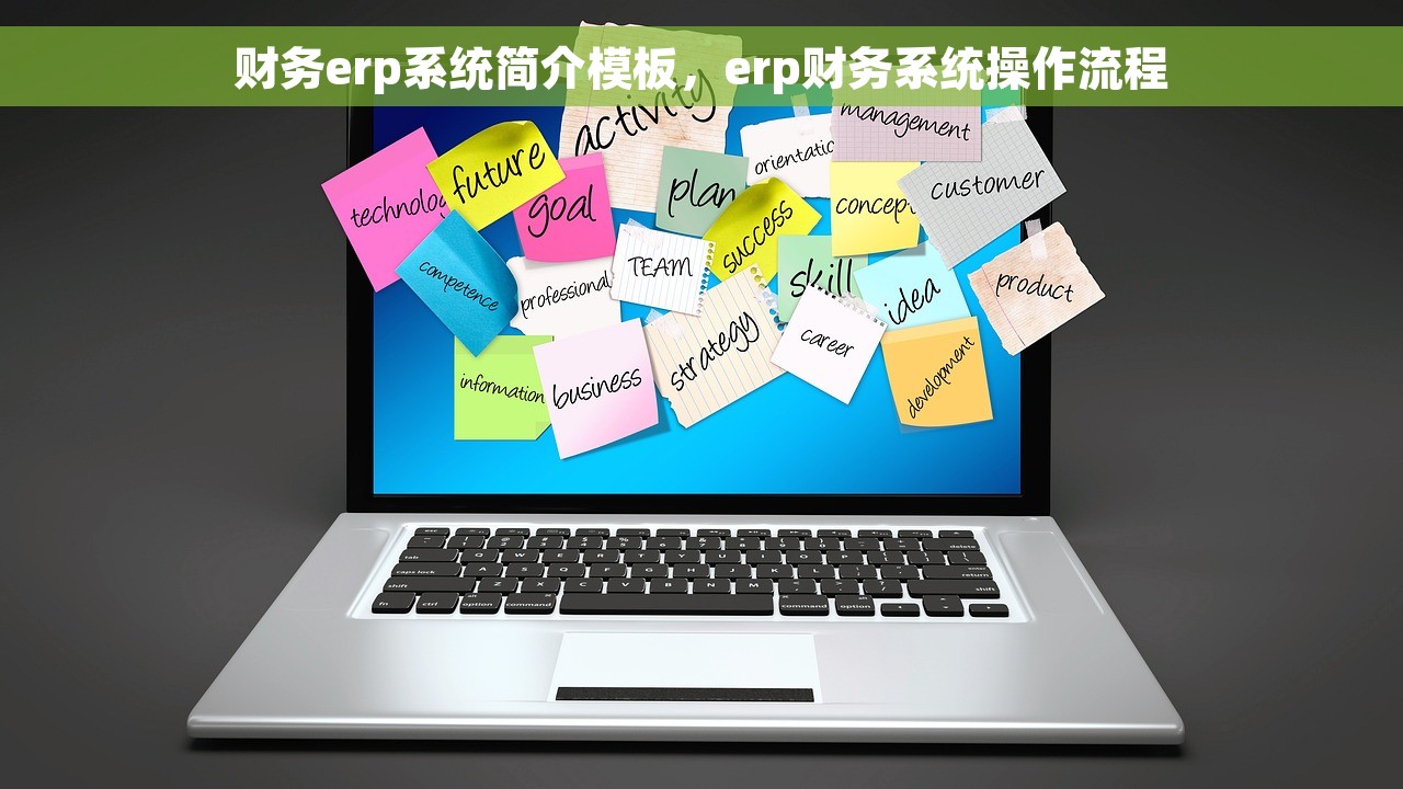 财务erp系统简介模板，erp财务系统操作流程