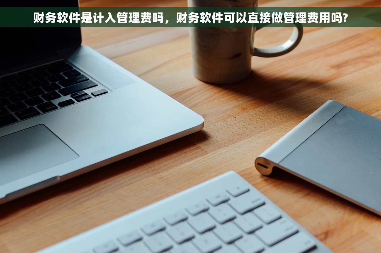 财务软件是计入管理费吗，财务软件可以直接做管理费用吗?