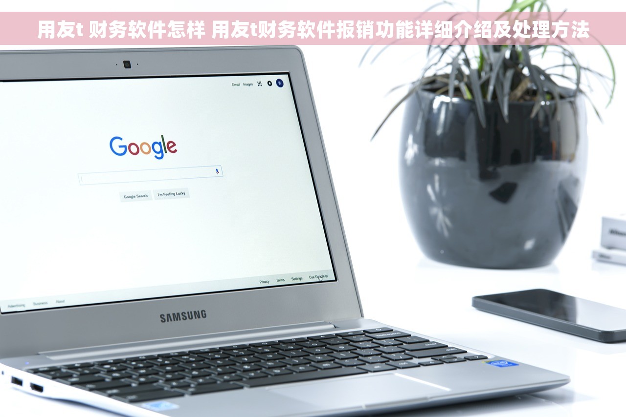 用友t 财务软件怎样 用友t财务软件报销功能详细介绍及处理方法