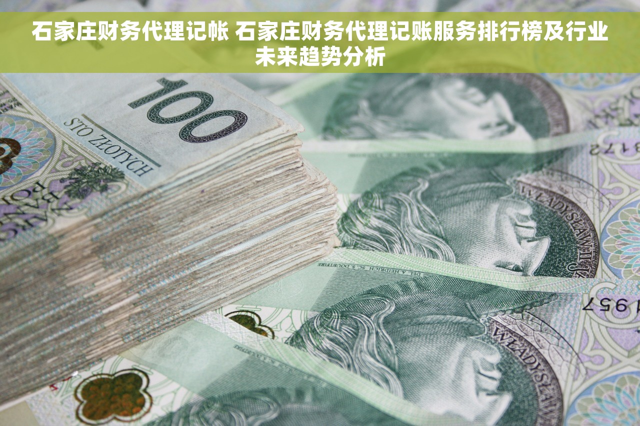 石家庄财务代理记帐 石家庄财务代理记账服务排行榜及行业未来趋势分析
