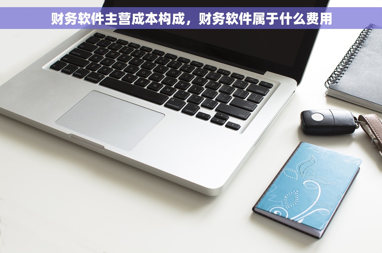 财务软件主营成本构成，财务软件属于什么费用