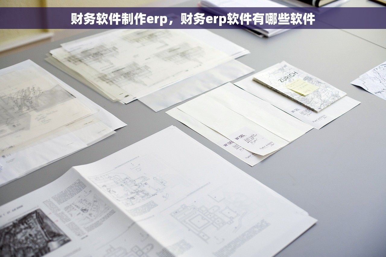 财务软件制作erp，财务erp软件有哪些软件