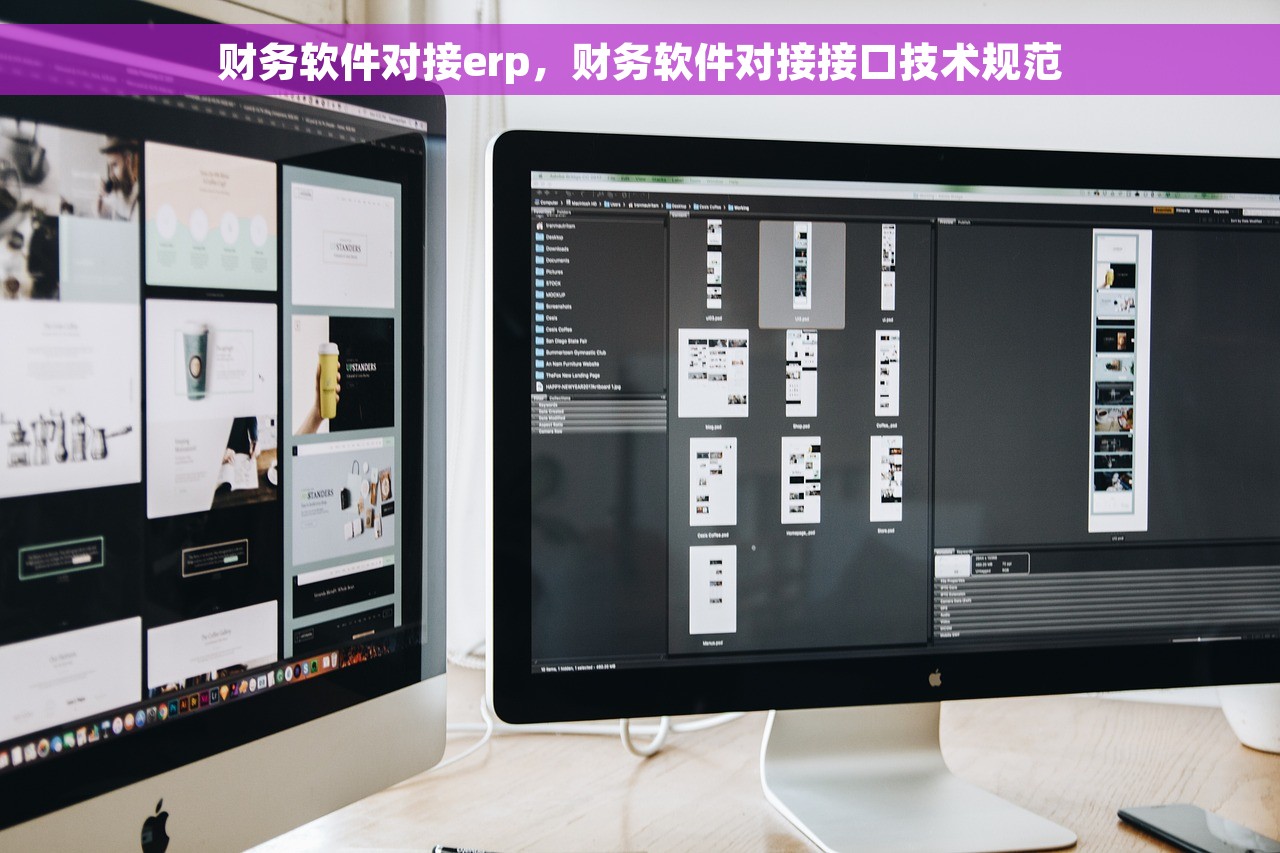 财务软件对接erp，财务软件对接接口技术规范
