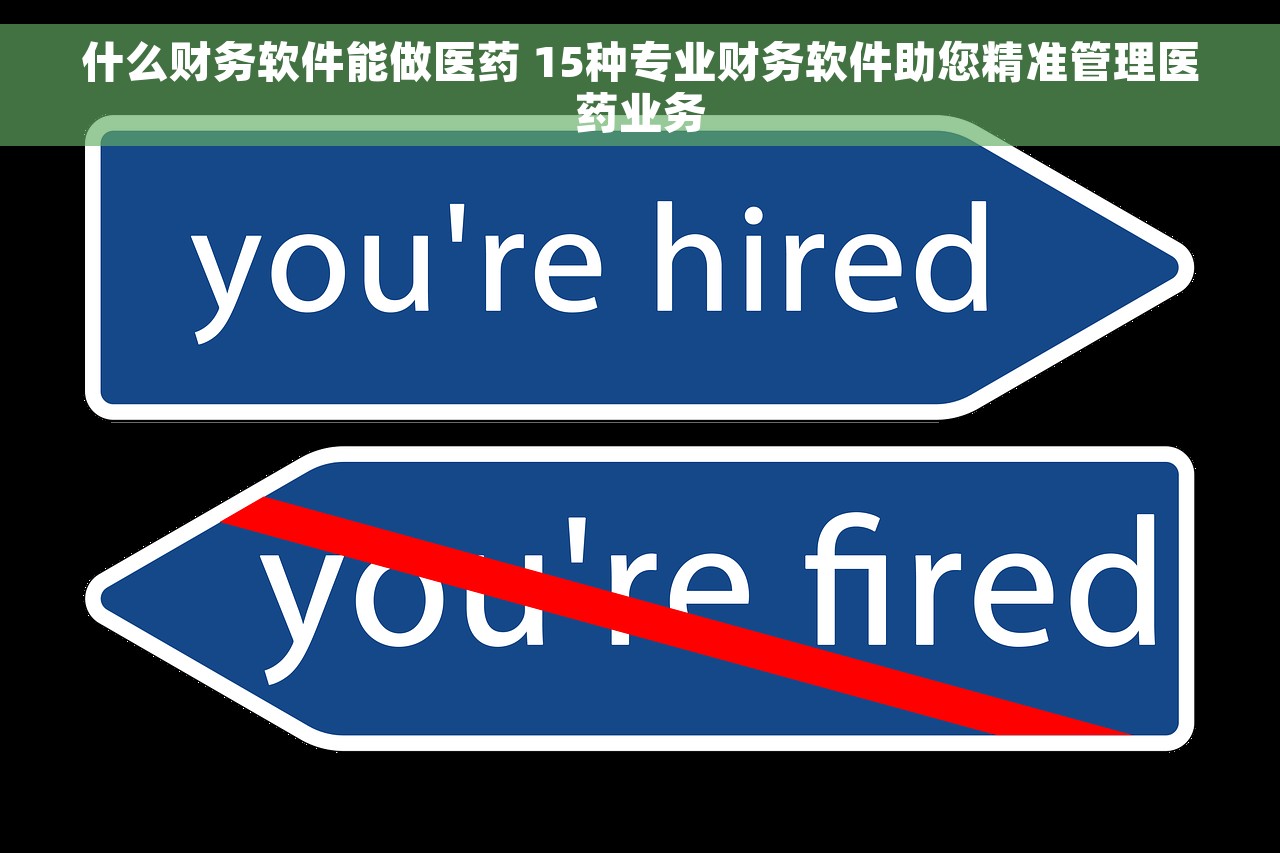 什么财务软件能做医药 15种专业财务软件助您精准管理医药业务