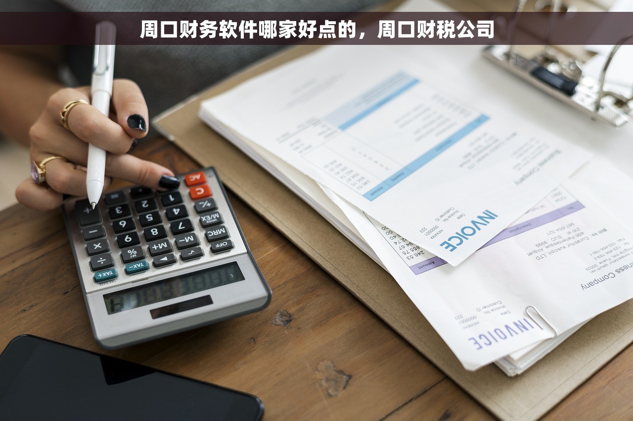 周口财务软件哪家好点的，周口财税公司