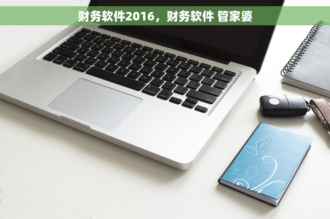 财务软件2016，财务软件 管家婆