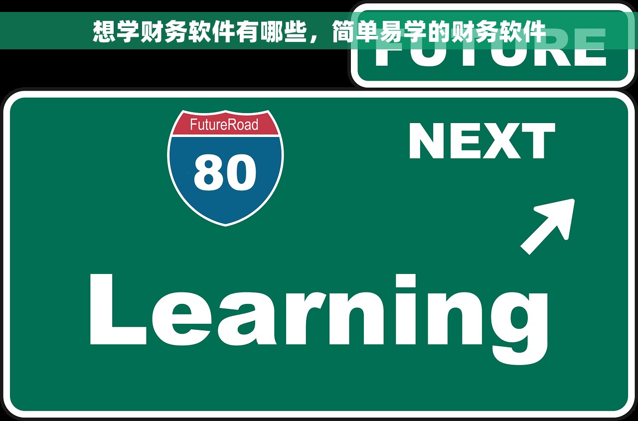 想学财务软件有哪些，简单易学的财务软件