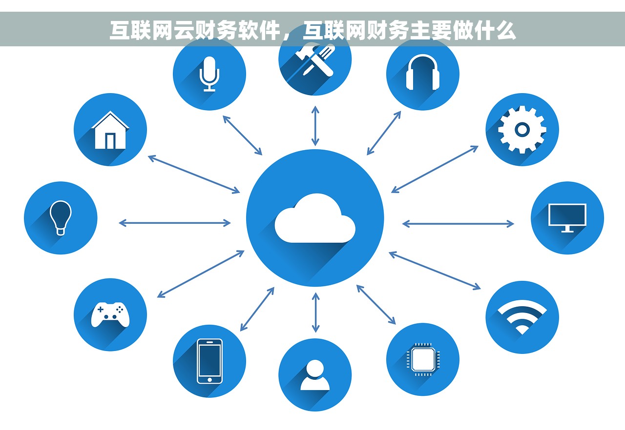 互联网云财务软件，互联网财务主要做什么