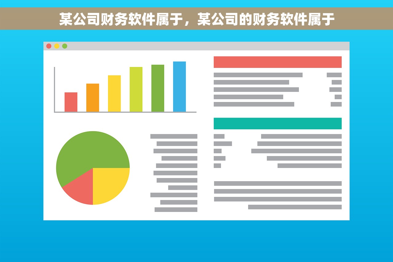 某公司财务软件属于，某公司的财务软件属于