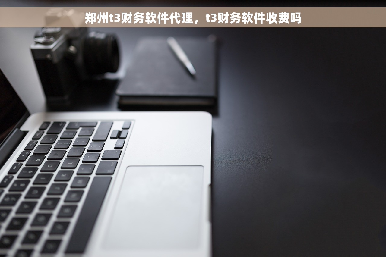 郑州t3财务软件代理，t3财务软件收费吗