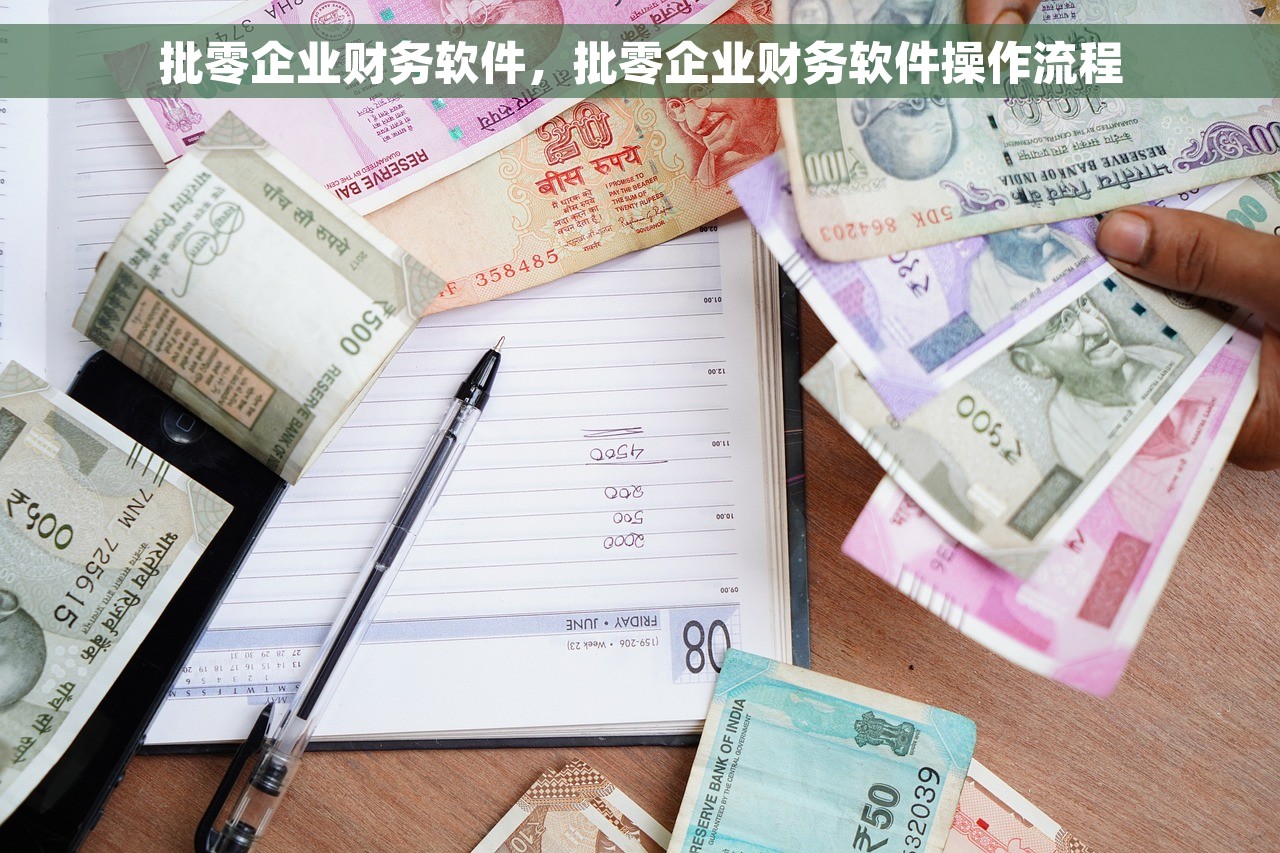 批零企业财务软件，批零企业财务软件操作流程