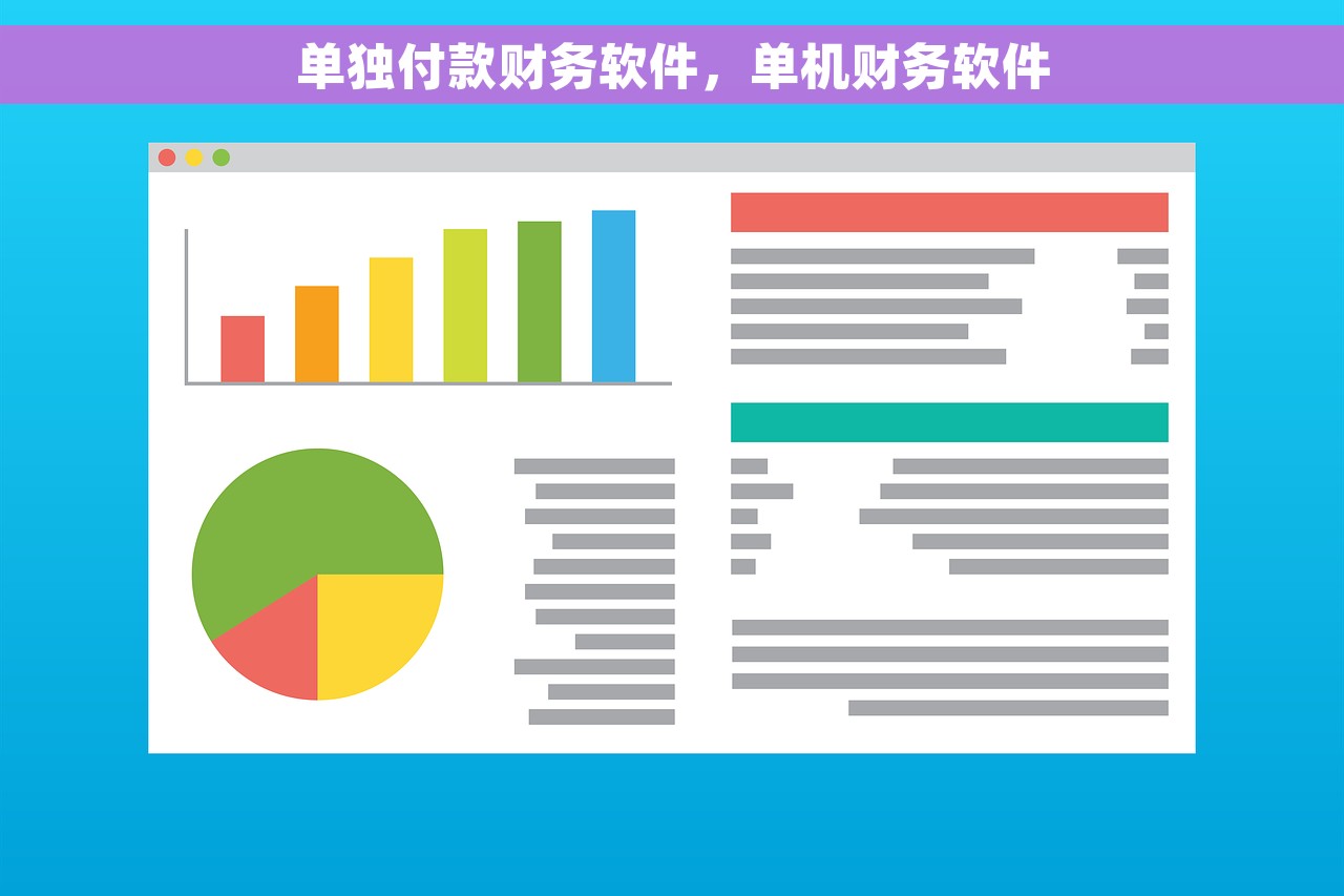 单独付款财务软件，单机财务软件
