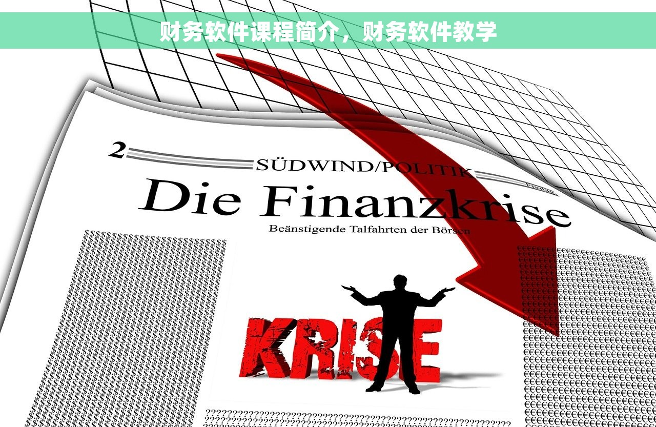 财务软件课程简介，财务软件教学
