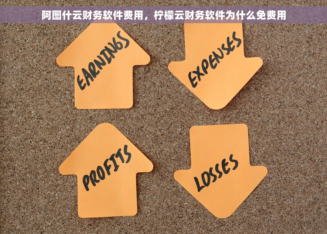 阿图什云财务软件费用，柠檬云财务软件为什么免费用