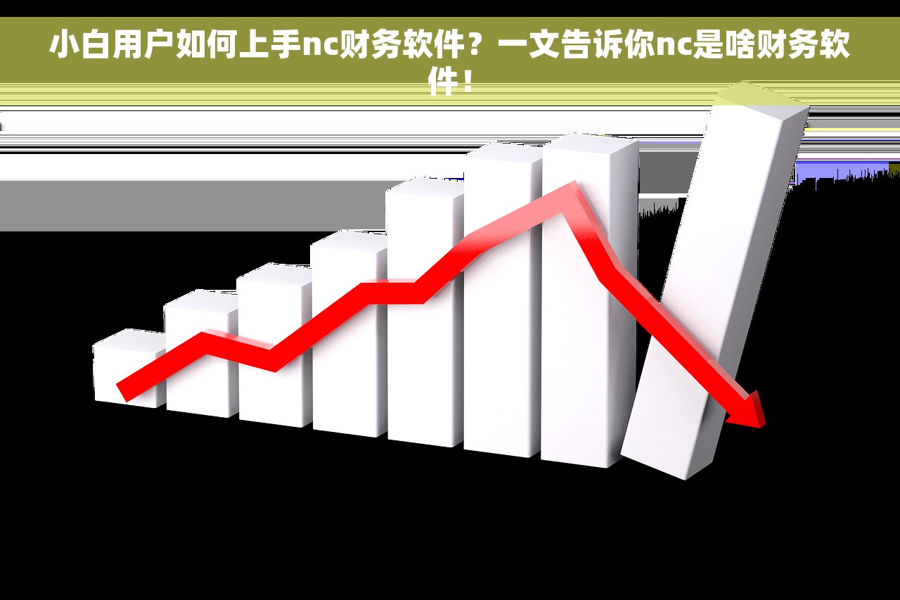 小白用户如何上手nc财务软件？一文告诉你nc是啥财务软件！