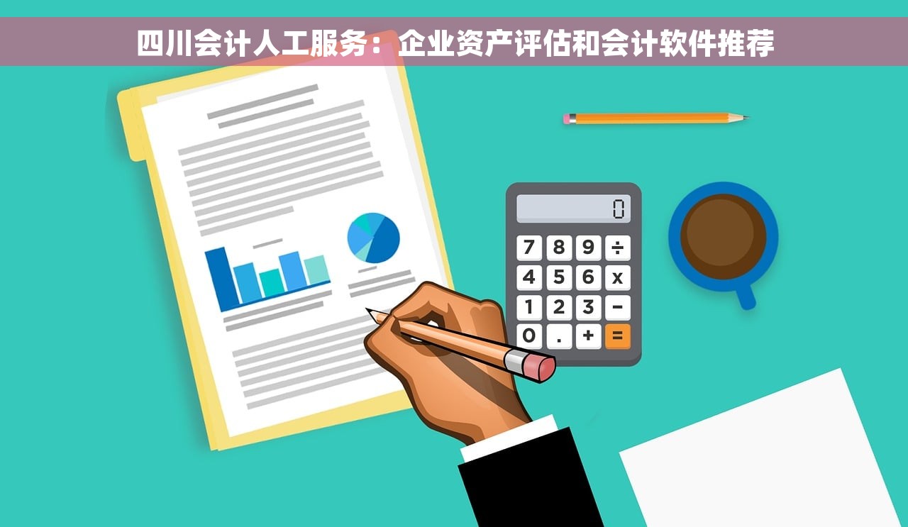 四川会计人工服务：企业资产评估和会计软件推荐