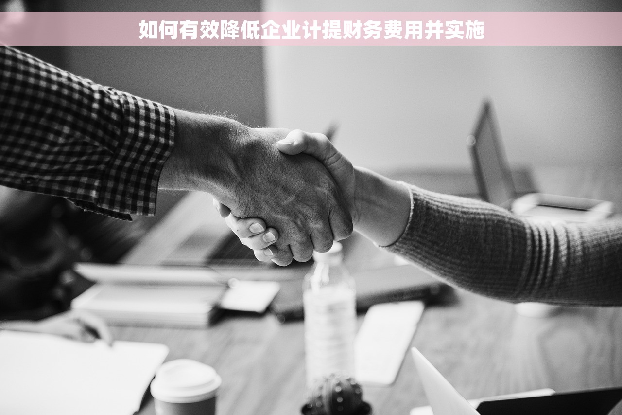 如何有效降低企业计提财务费用并实施