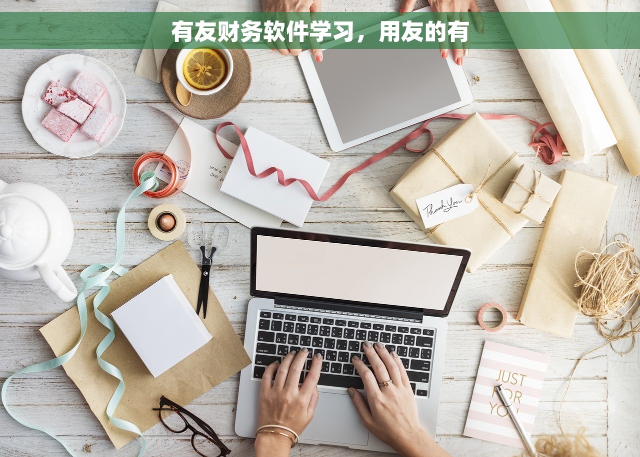 有友财务软件学习，用友的有