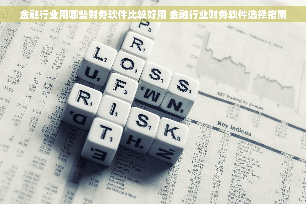 金融行业用哪些财务软件比较好用 金融行业财务软件选择指南