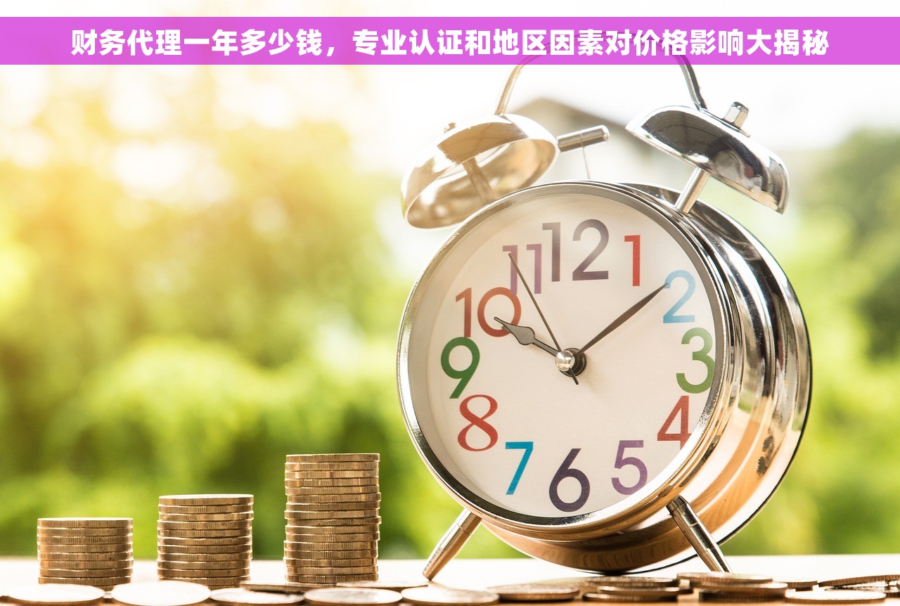 财务代理一年多少钱，专业认证和地区因素对价格影响大揭秘