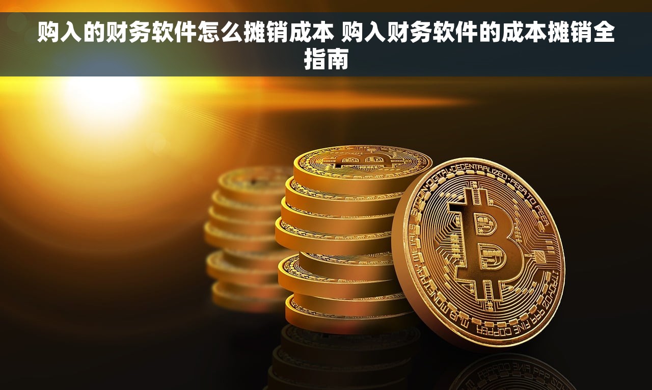 购入的财务软件怎么摊销成本 购入财务软件的成本摊销全指南