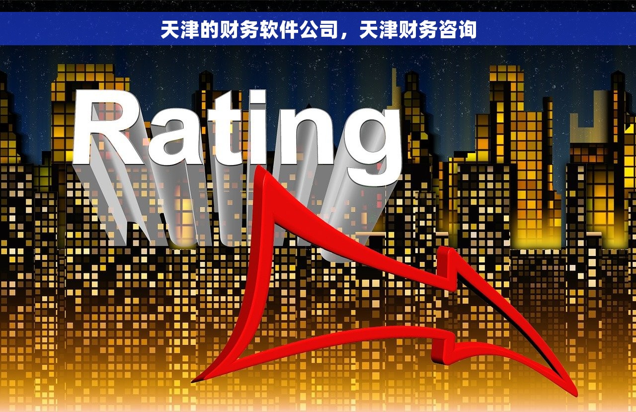 天津的财务软件公司，天津财务咨询
