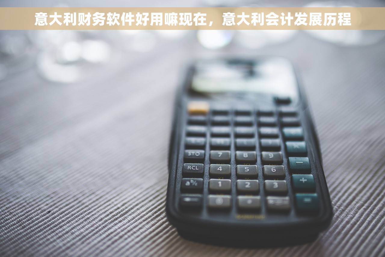 意大利财务软件好用嘛现在，意大利会计发展历程