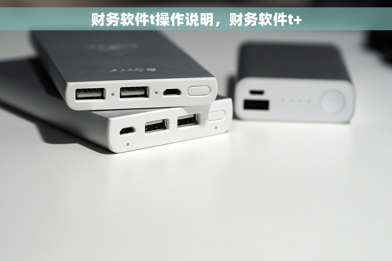财务软件t操作说明，财务软件t+