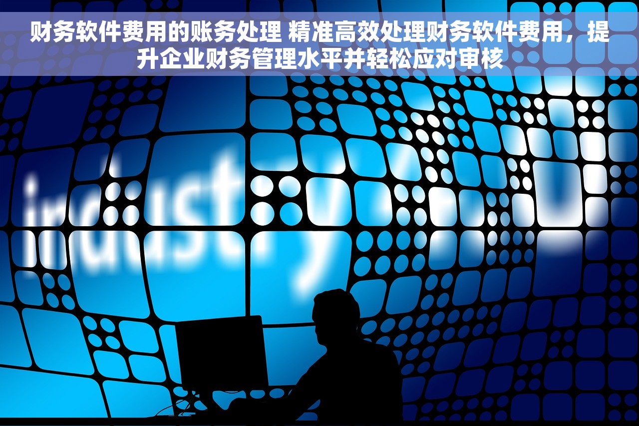 财务软件费用的账务处理 精准高效处理财务软件费用，提升企业财务管理水平并轻松应对审核