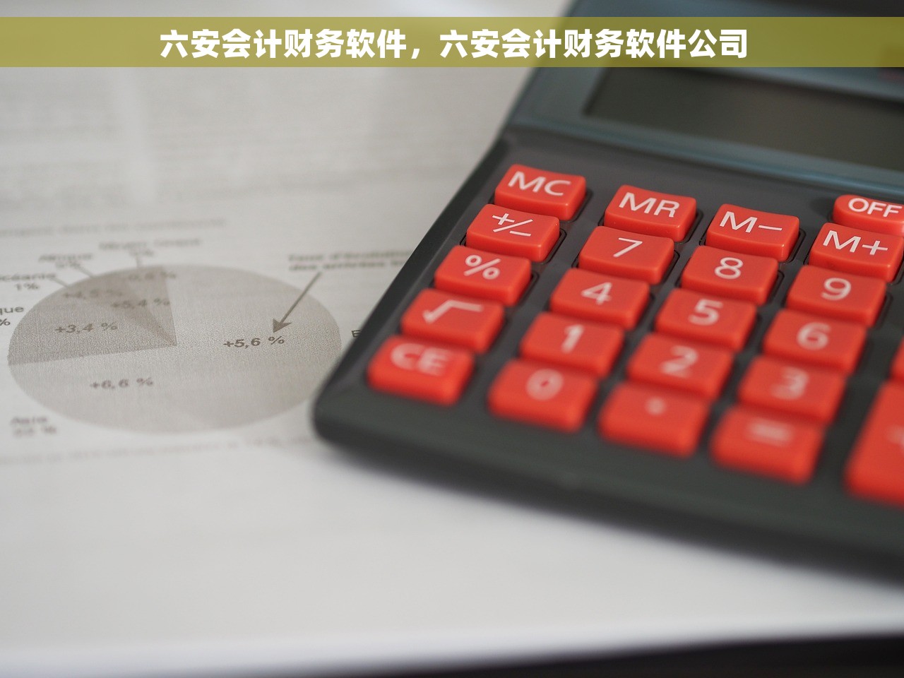 六安会计财务软件，六安会计财务软件公司