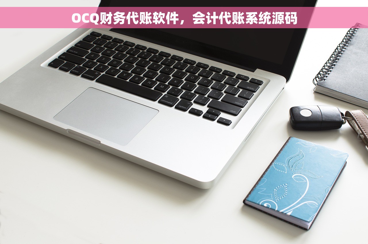 OCQ财务代账软件，会计代账系统源码