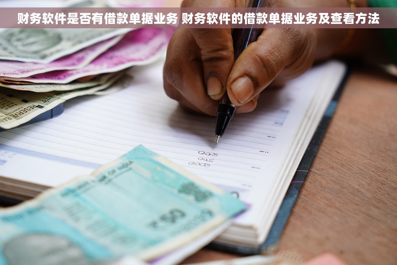 塔城记账财务软件：助力企业财务管理，让财务事半功倍
