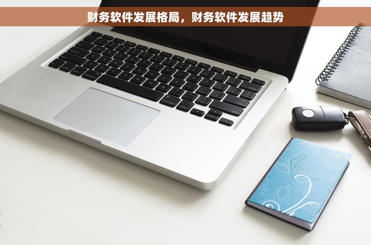 速达打印会计凭证，专业高效的财务支持，让您节省时间精力