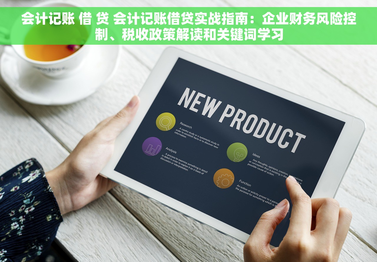 会计记账 借 贷 会计记账借贷实战指南：企业财务风险控制、税收政策解读和关键词学习