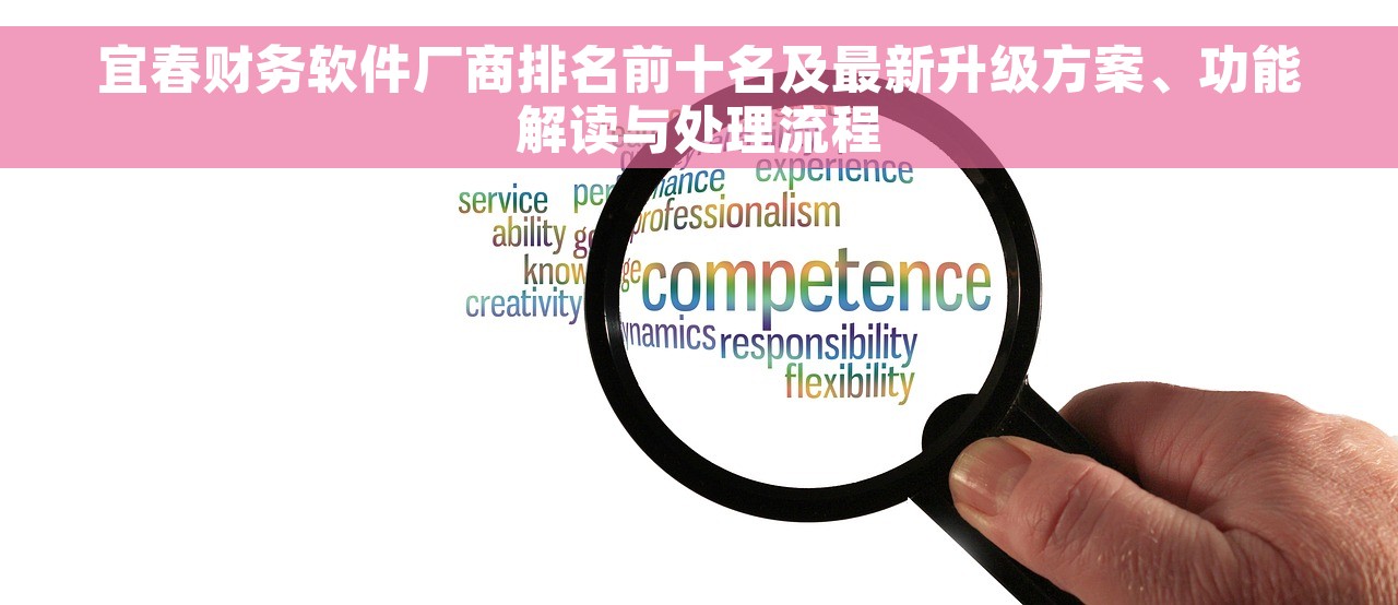 宜春财务软件厂商排名前十名及最新升级方案、功能解读与处理流程