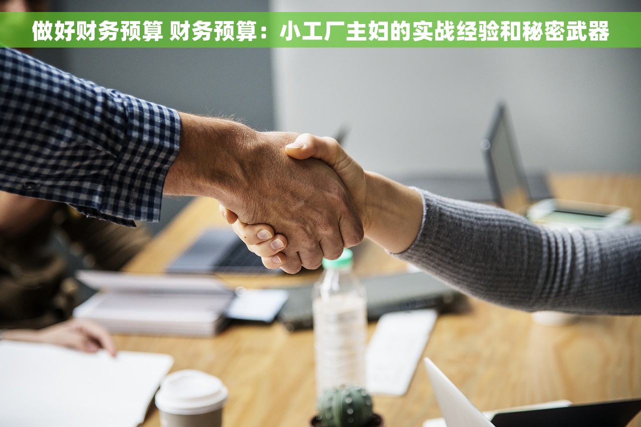 做好财务预算 财务预算：小工厂主妇的实战经验和秘密武器