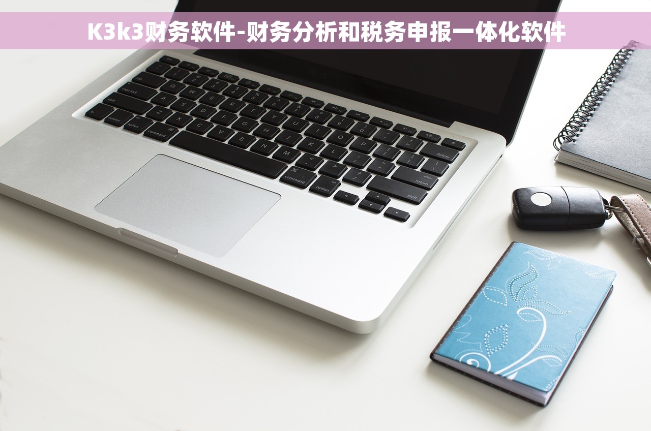 K3k3财务软件-财务分析和税务申报一体化软件