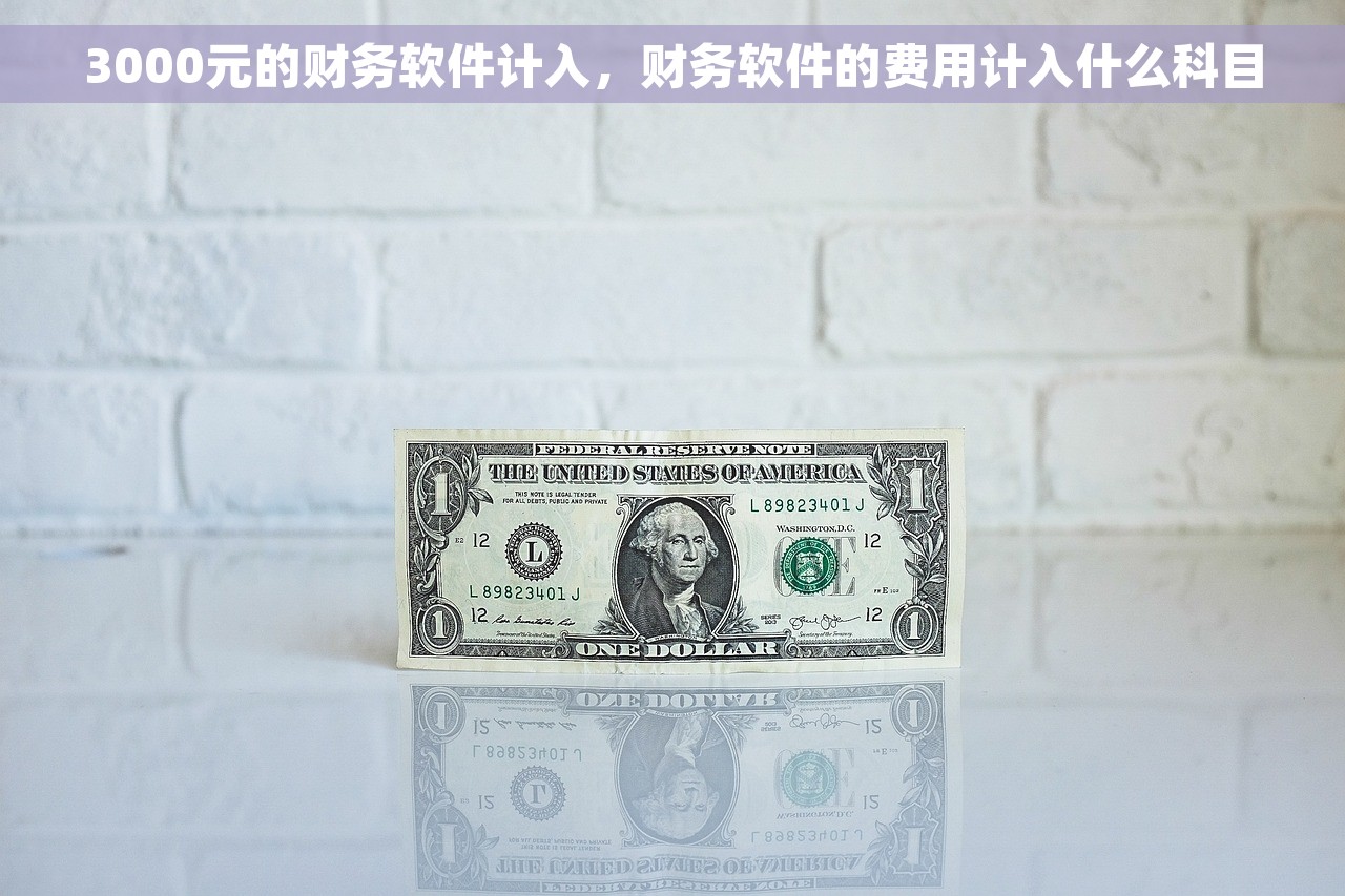 3000元的财务软件计入，财务软件的费用计入什么科目