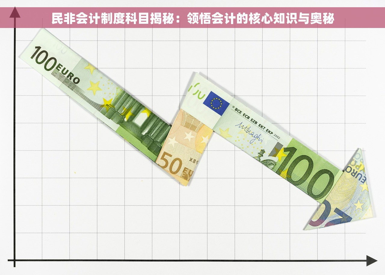 民非会计制度科目揭秘：领悟会计的核心知识与奥秘