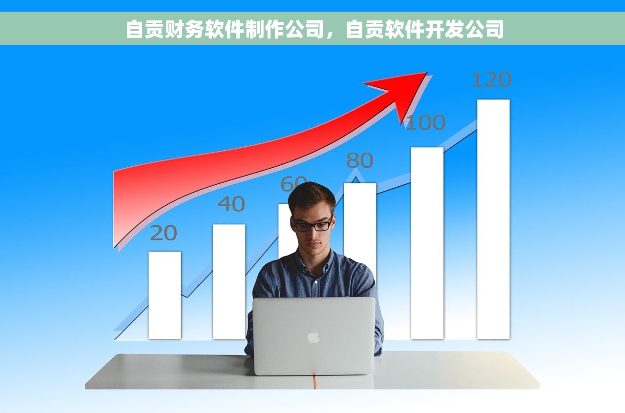 自贡财务软件制作公司，自贡软件开发公司