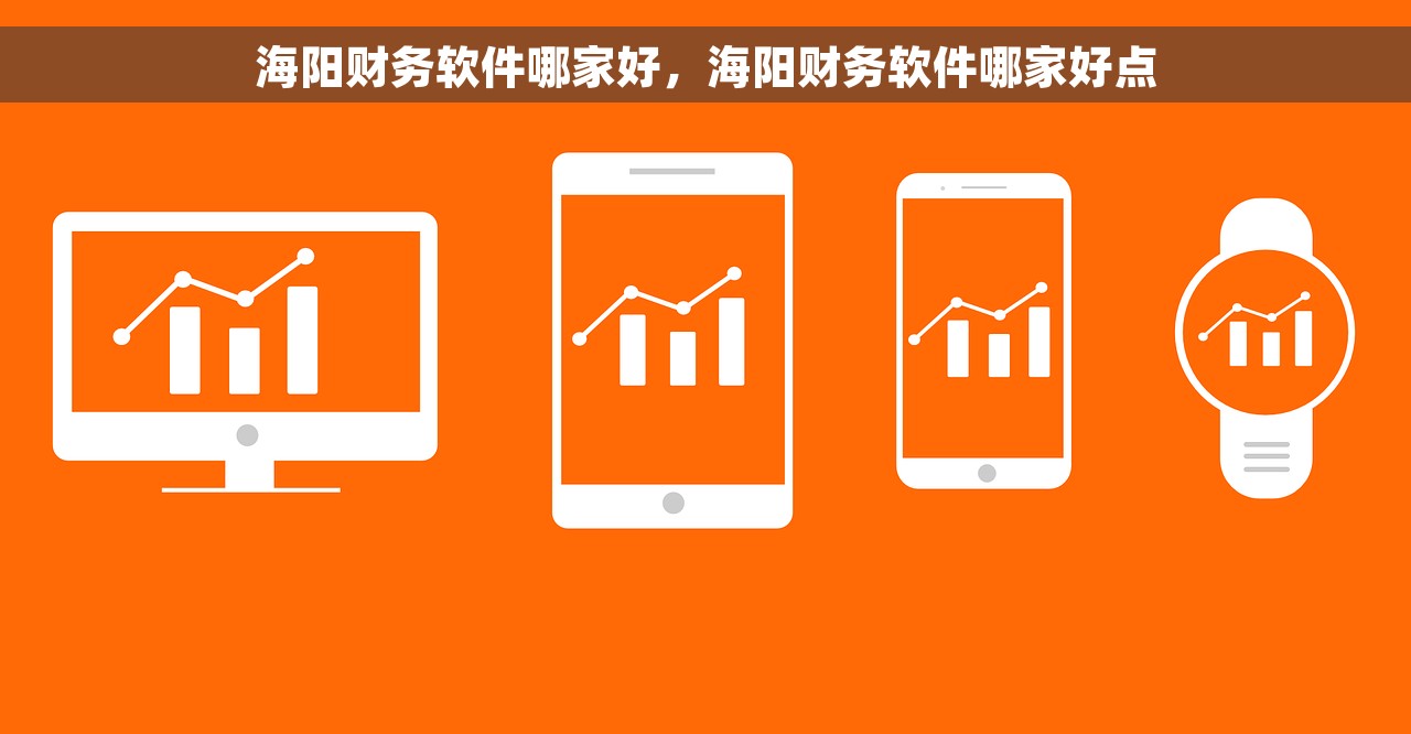 海阳财务软件哪家好，海阳财务软件哪家好点