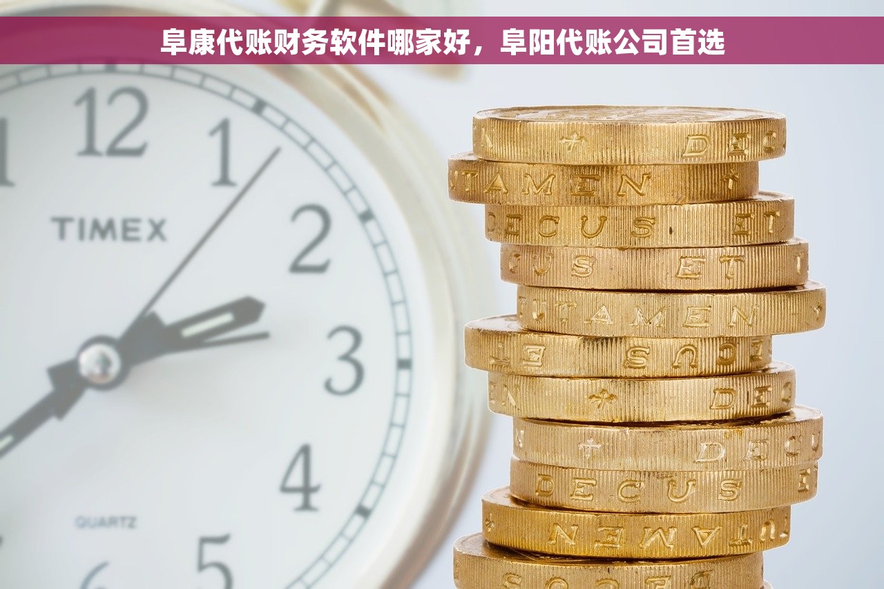 阜康代账财务软件哪家好，阜阳代账公司首选