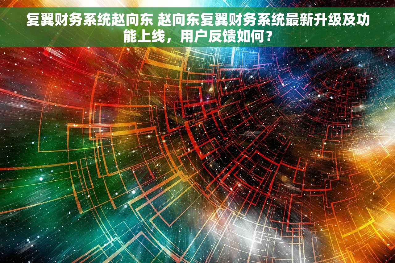 复翼财务系统赵向东 赵向东复翼财务系统最新升级及功能上线，用户反馈如何？