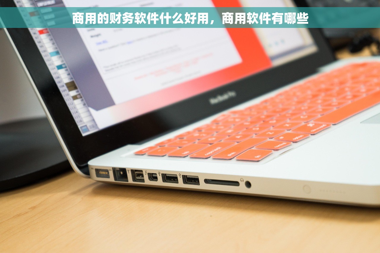 电算化会计心得：职场新人必备的数字化技能全解析，快速升职的秘密武器揭秘