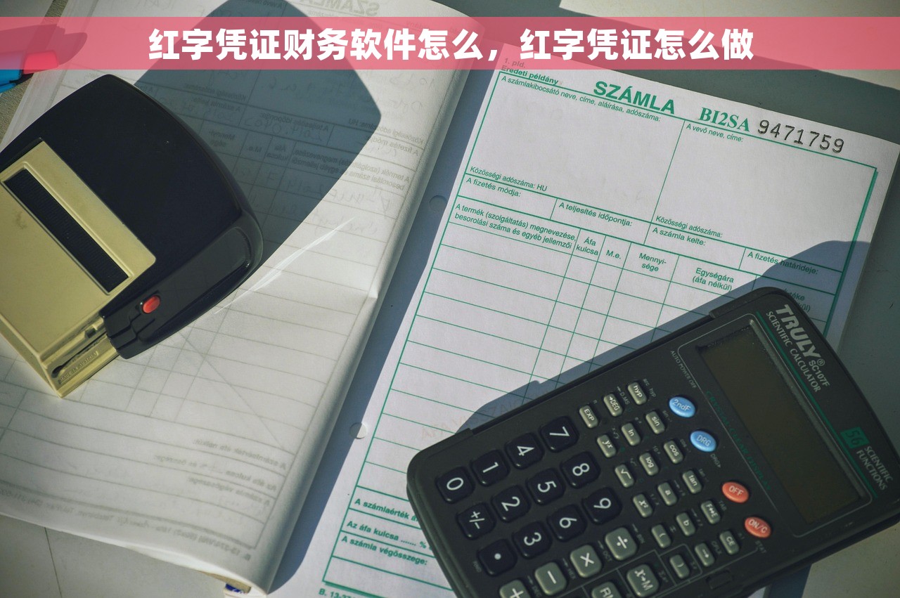 财务软件费用做账怎么做分录的呢 如何正确核算并记录财务软件费用的方法